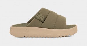 Ugg Maxxer Badtofflor Sandaler Herr Gröna | Sverige-79543