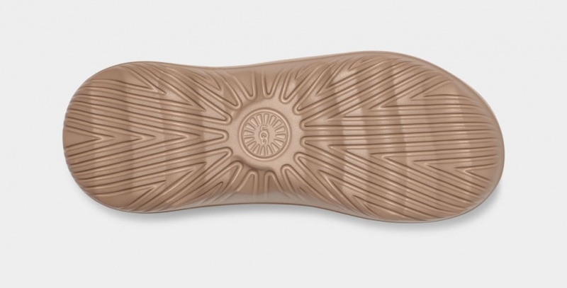 Ugg Badtofflor It Sandaler Herr Bruna | Sverige-36528