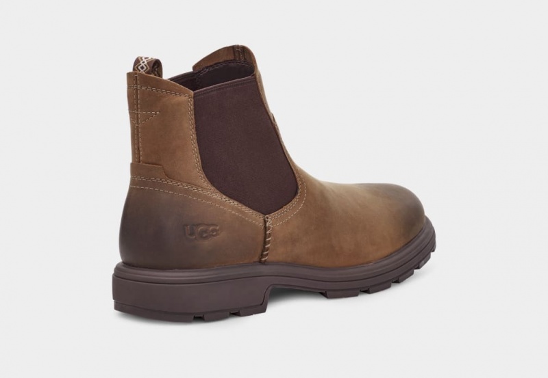 Ugg Biltmore Chelsea Stövlar Herr Bruna | Sverige-01592