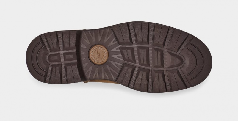 Ugg Biltmore Chelsea Stövlar Herr Bruna | Sverige-01592