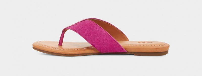 Ugg Carey Flip Badtofflor Sandaler Dam Rosa | Sverige-05172