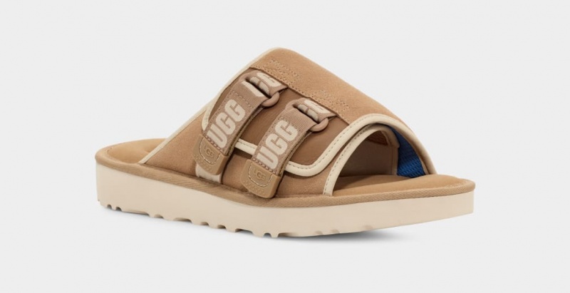 Ugg Goldencoast Rem Badtofflor Sandaler Herr Bruna | Sverige-57423