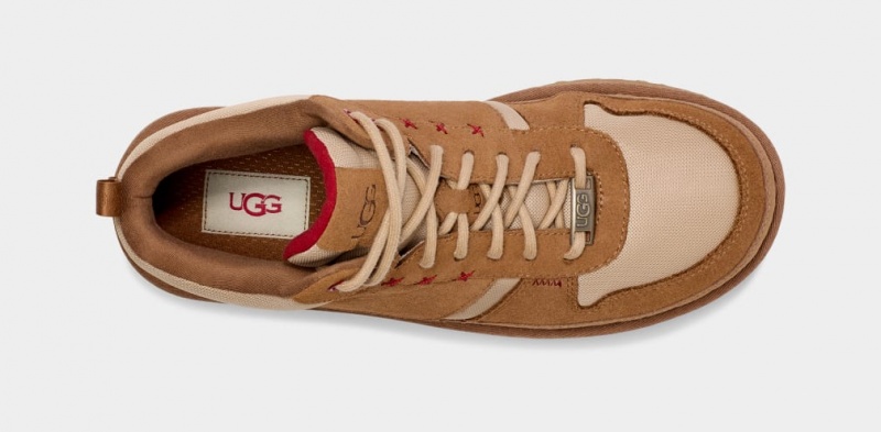 Ugg Highland Hi Heritage Sneakers Herr Bruna Bruna Mörkrosa | Sverige-80512
