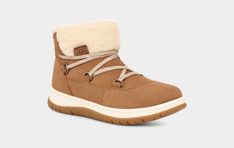 Ugg Lakesider Heritage Spets Stövlar Dam Bruna | Sverige-93081