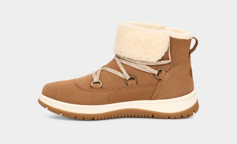 Ugg Lakesider Heritage Spets Stövlar Dam Bruna | Sverige-93081