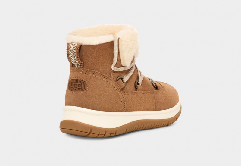 Ugg Lakesider Heritage Spets Stövlar Dam Bruna | Sverige-93081
