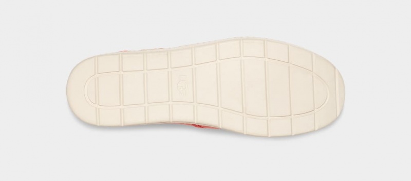 Ugg Luciahn Slip On Skor Dam Korall | Sverige-14052