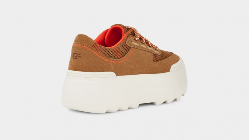 Ugg Marin Mega Spets Heritage Braid Sneakers Dam Bruna | Sverige-72509