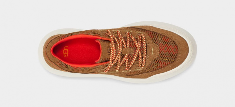 Ugg Marin Mega Spets Heritage Braid Sneakers Dam Bruna | Sverige-72509