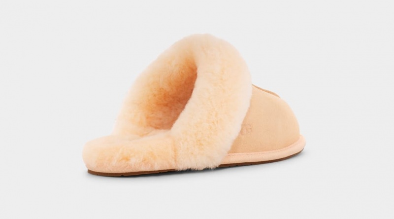 Ugg Scuffette II Tofflor Dam Korall | Sverige-69573