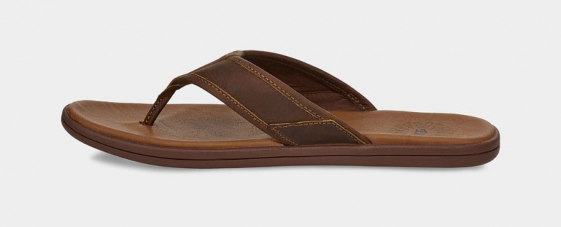 Ugg Seaside Läder Flip Flop Sandaler Herr Bruna | Sverige-71043
