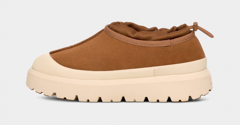 Ugg Tasman Weather Hybrid Tofflor Herr Bruna | Sverige-65804