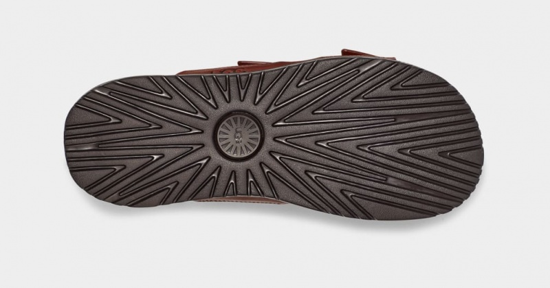 Ugg Wainscott Spännen Badtofflor Sandaler Herr Bruna | Sverige-54921