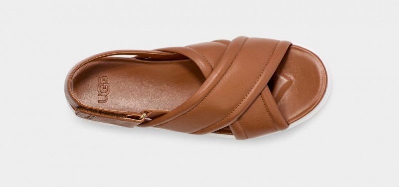 Ugg Zayne Slingback Sandaler Dam Bruna | Sverige-63014